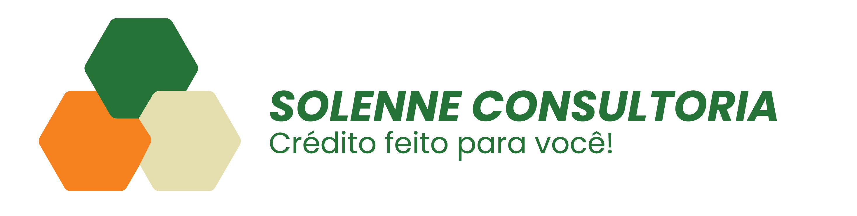 Solenne Consultoria